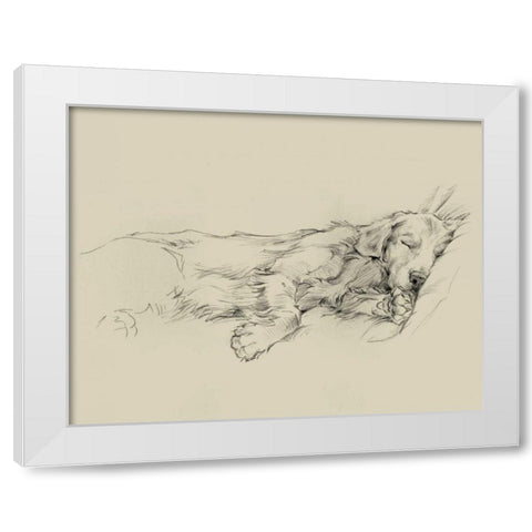 Dog Days III White Modern Wood Framed Art Print by Harper, Ethan