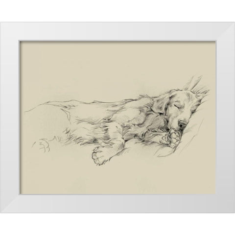 Dog Days III White Modern Wood Framed Art Print by Harper, Ethan