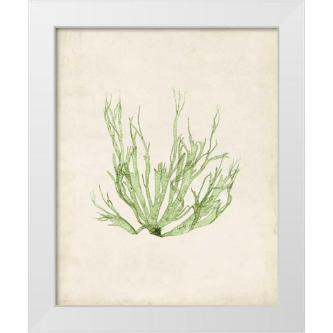 Peridot Seaweed IV White Modern Wood Framed Art Print by Vision Studio
