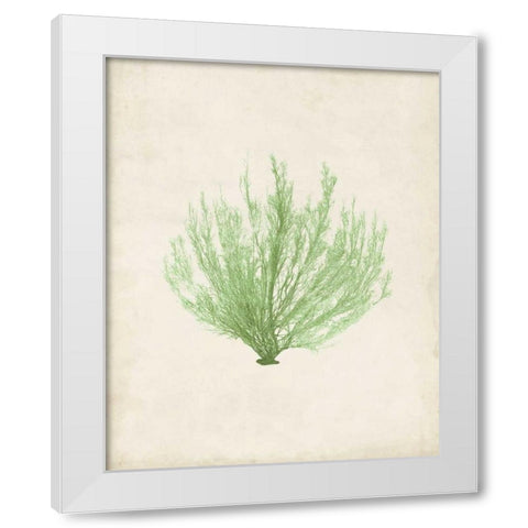 Peridot Seaweed VI White Modern Wood Framed Art Print by Vision Studio