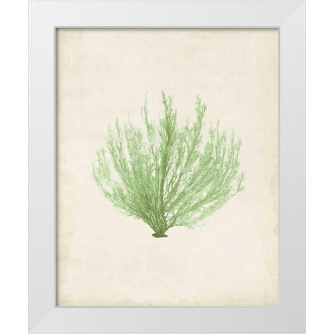 Peridot Seaweed VI White Modern Wood Framed Art Print by Vision Studio