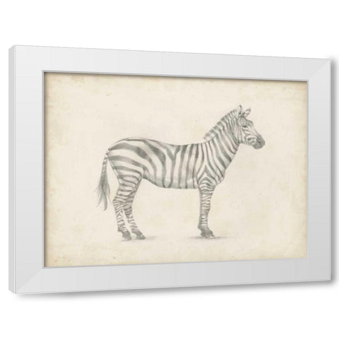 Zebra Sketch White Modern Wood Framed Art Print by Harper, Ethan