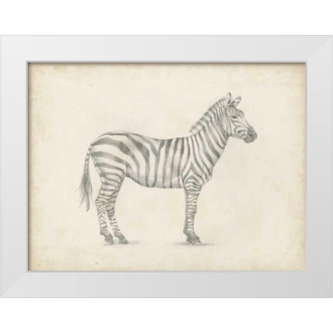 Zebra Sketch White Modern Wood Framed Art Print by Harper, Ethan