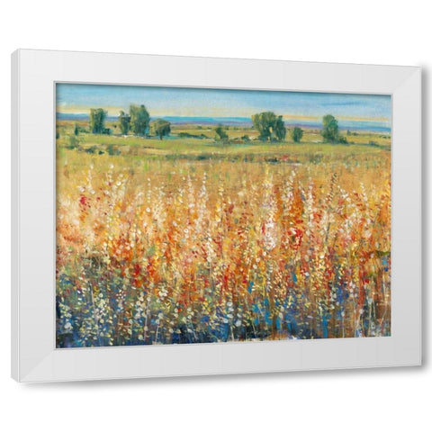 Gold and Red Field II White Modern Wood Framed Art Print by OToole, Tim