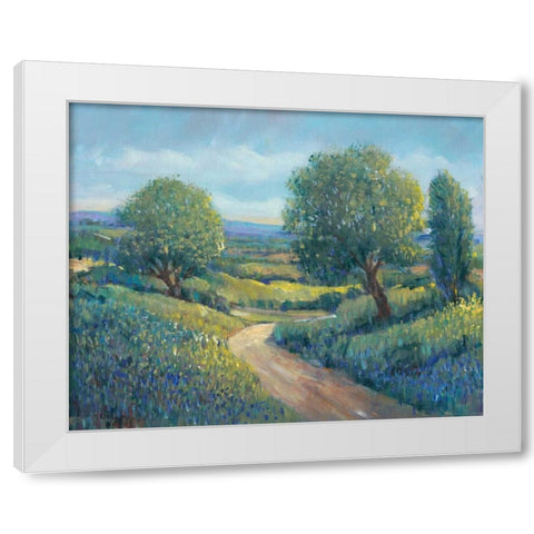 Country Sentrees II White Modern Wood Framed Art Print by OToole, Tim