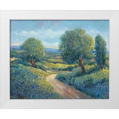 Country Sentrees II White Modern Wood Framed Art Print by OToole, Tim