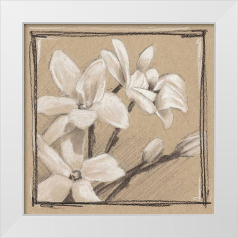 White Floral Study III White Modern Wood Framed Art Print by Harper, Ethan