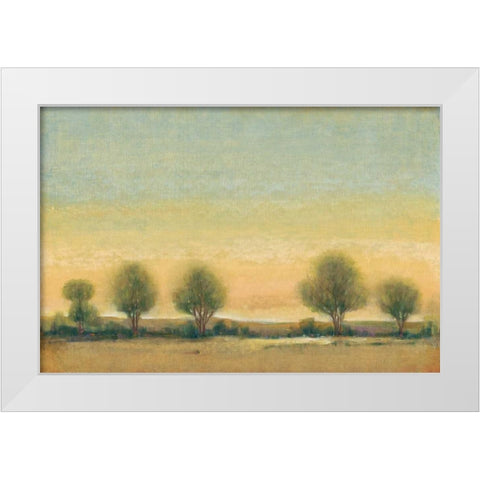 Morning Sun II White Modern Wood Framed Art Print by OToole, Tim
