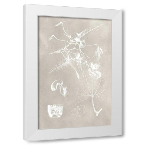 Botanical Schematic I White Modern Wood Framed Art Print by Vision Studio