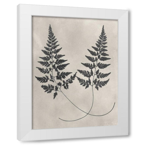 Vintage Fern Study I White Modern Wood Framed Art Print by Vision Studio