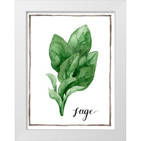Watercolor Herbs VI White Modern Wood Framed Art Print by Popp, Grace