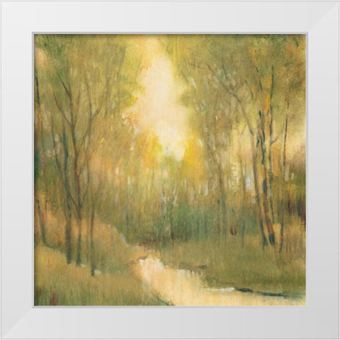 Forest Sanctuary I White Modern Wood Framed Art Print by OToole, Tim