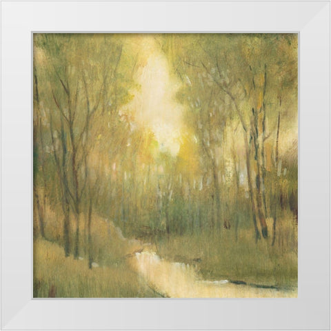 Forest Sanctuary I White Modern Wood Framed Art Print by OToole, Tim