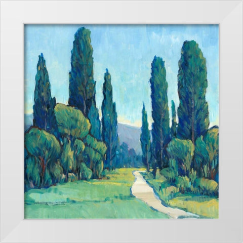 Cypress Path II White Modern Wood Framed Art Print by OToole, Tim