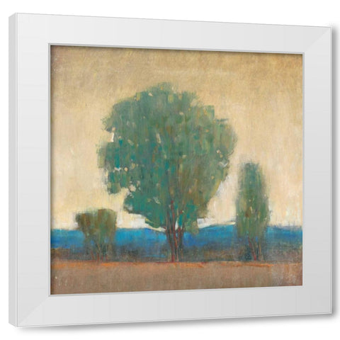 Clearing Storm I White Modern Wood Framed Art Print by OToole, Tim