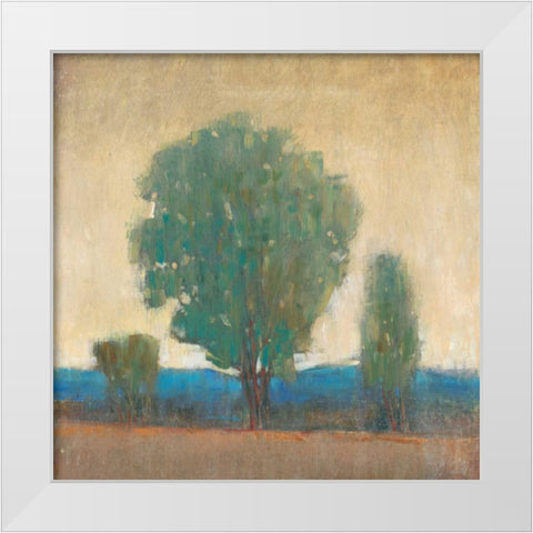 Clearing Storm I White Modern Wood Framed Art Print by OToole, Tim