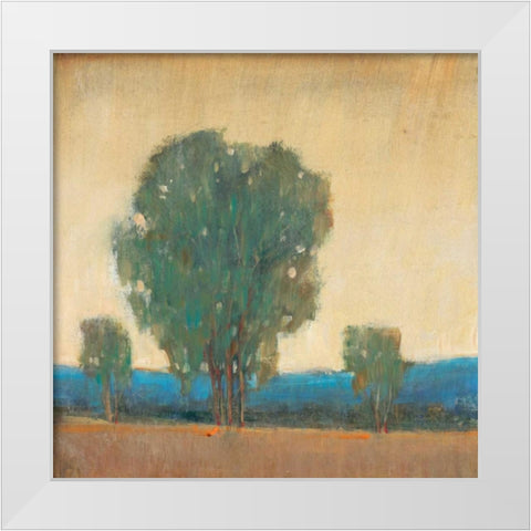 Clearing Storm II White Modern Wood Framed Art Print by OToole, Tim