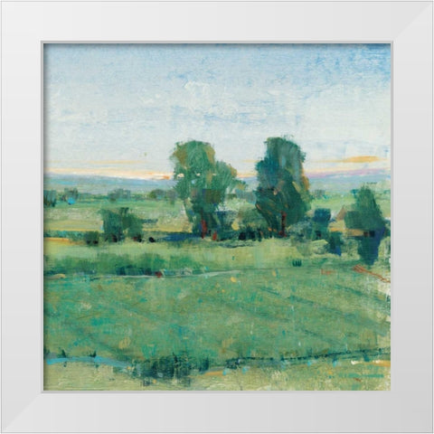 Spring Meadow II White Modern Wood Framed Art Print by OToole, Tim