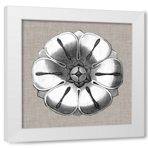 Neutral Rosette Detail I White Modern Wood Framed Art Print by Vision Studio