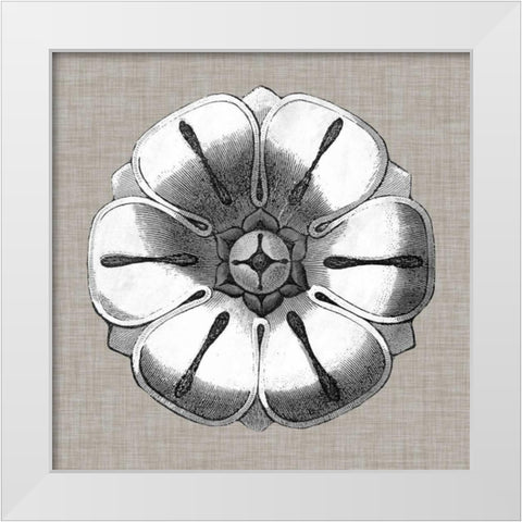 Neutral Rosette Detail I White Modern Wood Framed Art Print by Vision Studio