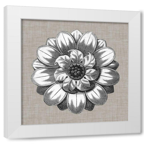 Neutral Rosette Detail IV White Modern Wood Framed Art Print by Vision Studio