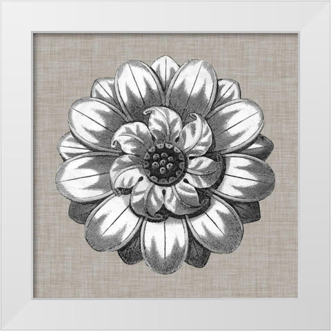 Neutral Rosette Detail IV White Modern Wood Framed Art Print by Vision Studio