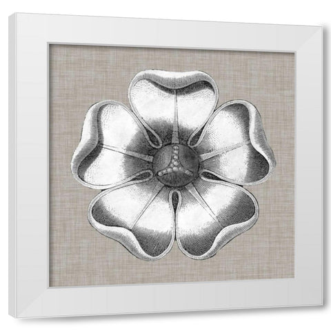Neutral Rosette Detail VI White Modern Wood Framed Art Print by Vision Studio