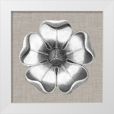 Neutral Rosette Detail VI White Modern Wood Framed Art Print by Vision Studio