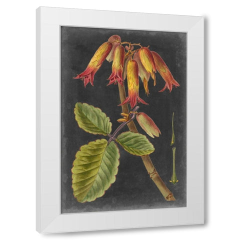 Dramatic Tropicals III White Modern Wood Framed Art Print by Vision Studio