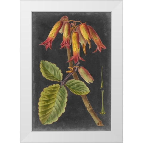 Dramatic Tropicals III White Modern Wood Framed Art Print by Vision Studio