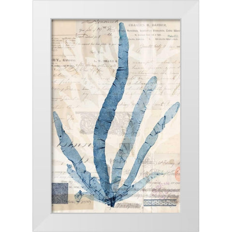 Seaweed Arrangement II White Modern Wood Framed Art Print by Vision Studio