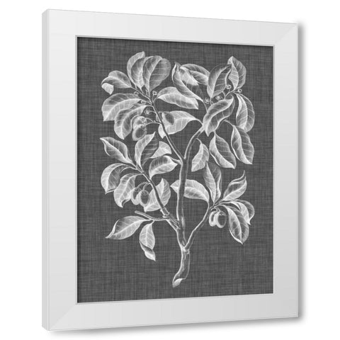 Graphic Foliage I White Modern Wood Framed Art Print by Vision Studio