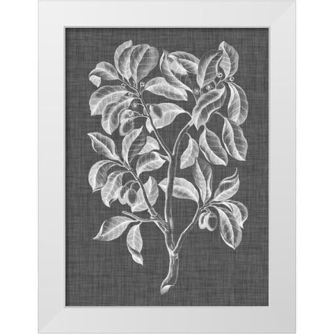 Graphic Foliage I White Modern Wood Framed Art Print by Vision Studio