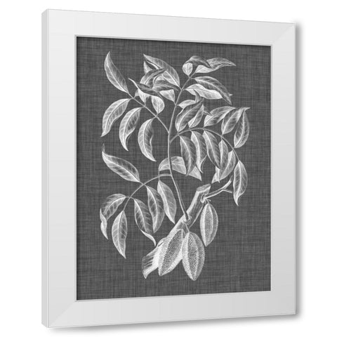 Graphic Foliage III White Modern Wood Framed Art Print by Vision Studio