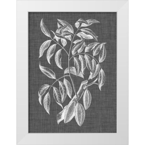 Graphic Foliage III White Modern Wood Framed Art Print by Vision Studio