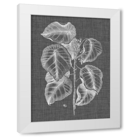 Graphic Foliage IV White Modern Wood Framed Art Print by Vision Studio