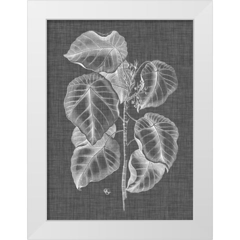 Graphic Foliage IV White Modern Wood Framed Art Print by Vision Studio