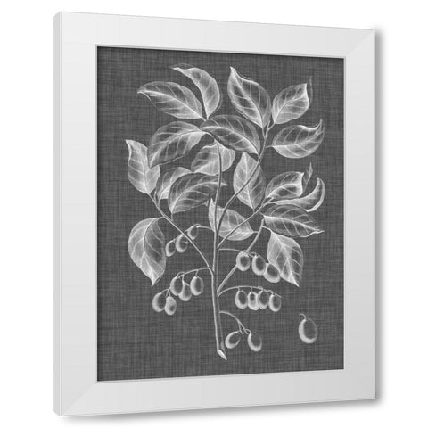 Graphic Foliage V White Modern Wood Framed Art Print by Vision Studio