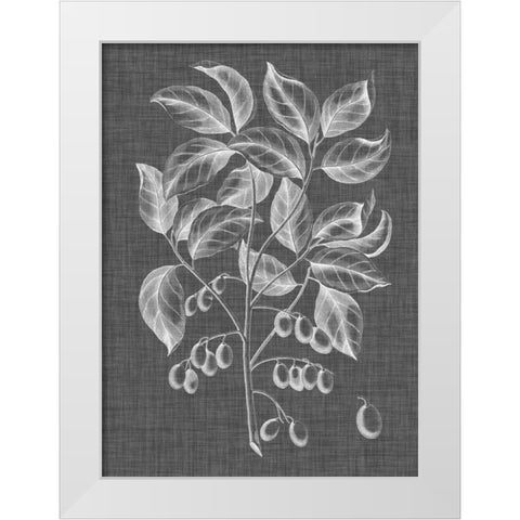 Graphic Foliage V White Modern Wood Framed Art Print by Vision Studio