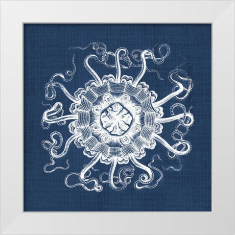 Sea Anemone on Indigo I White Modern Wood Framed Art Print by Vision Studio