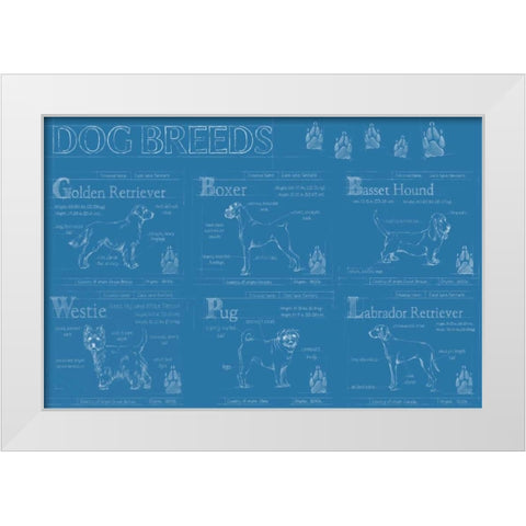 Dog Breeds Infograph White Modern Wood Framed Art Print by Harper, Ethan