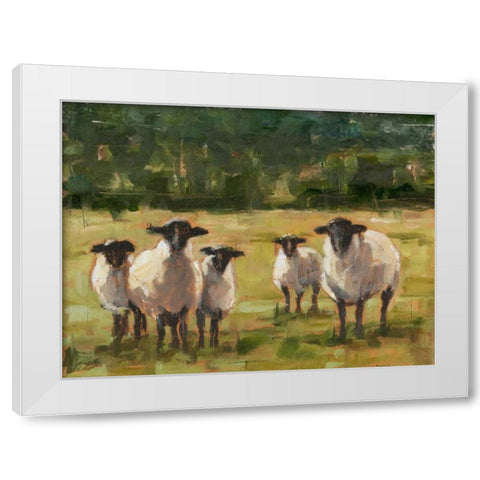 Sheep Family I White Modern Wood Framed Art Print by Harper, Ethan