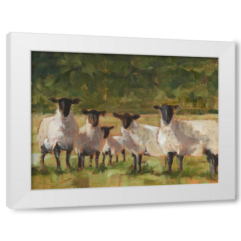Sheep Family II White Modern Wood Framed Art Print by Harper, Ethan