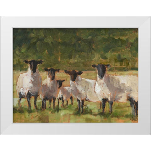 Sheep Family II White Modern Wood Framed Art Print by Harper, Ethan