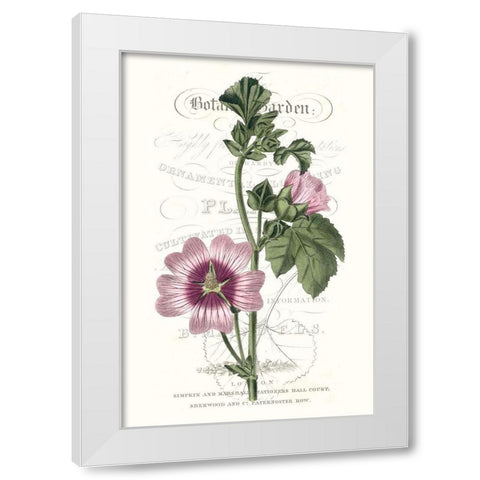 Flower Garden Varietals IV White Modern Wood Framed Art Print by Vision Studio
