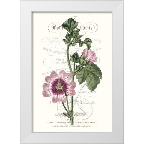 Flower Garden Varietals IV White Modern Wood Framed Art Print by Vision Studio
