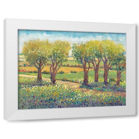 Garden Path I White Modern Wood Framed Art Print by OToole, Tim