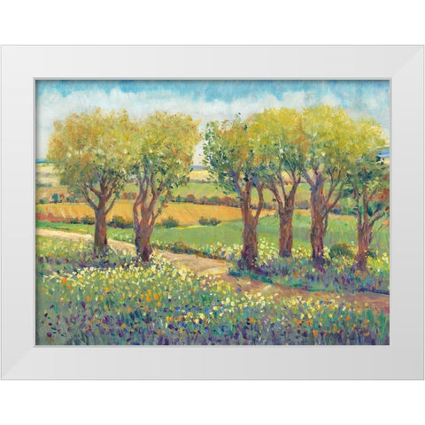Garden Path I White Modern Wood Framed Art Print by OToole, Tim