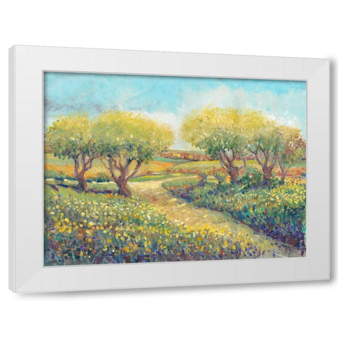 Garden Path II White Modern Wood Framed Art Print by OToole, Tim