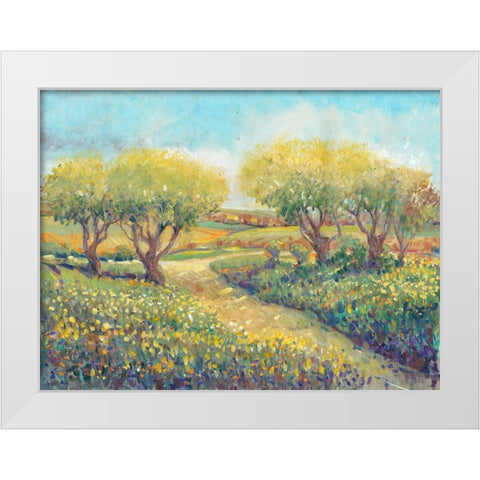Garden Path II White Modern Wood Framed Art Print by OToole, Tim